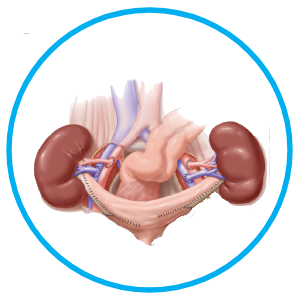 Kidney Specialist in Navi Mumbai